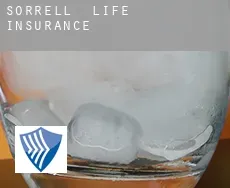 Sorrell  life insurance
