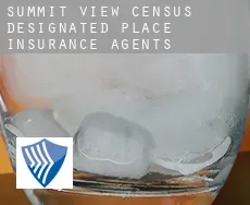 Summit View  insurance agents