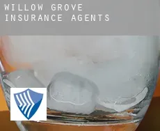 Willow Grove insurance agents