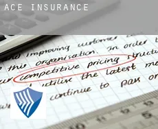 Ace  insurance