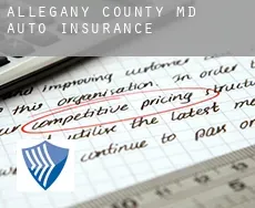 Allegany County auto insurance
