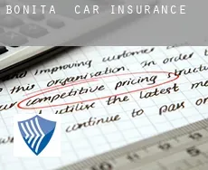 Bonita  car insurance