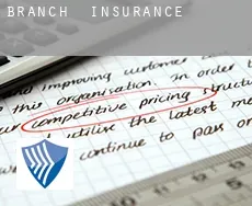 Branch  insurance