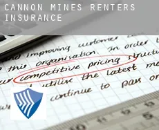 Cannon Mines  renters insurance