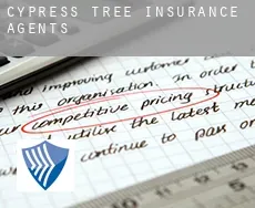 Cypress Tree  insurance agents