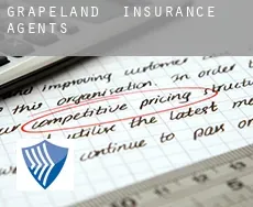 Grapeland  insurance agents