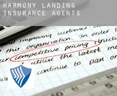 Harmony Landing  insurance agents