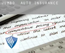 Jumbo  auto insurance
