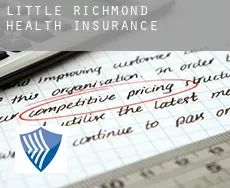 Little Richmond health insurance
