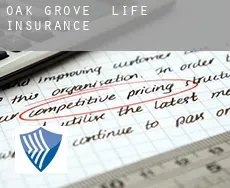 Oak Grove  life insurance