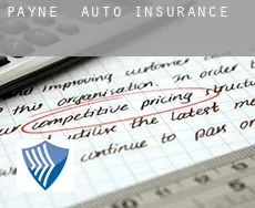 Payne  auto insurance