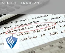 Seguro  insurance