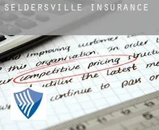 Seldersville insurance