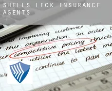 Shells Lick  insurance agents