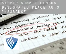 Silver Summit  auto insurance
