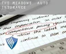 The Meadows  auto insurance