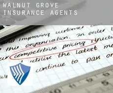Walnut Grove insurance agents