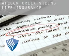 Willow Creek Siding  life insurance