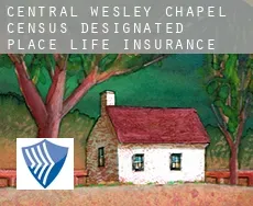 Central Wesley Chapel life insurance