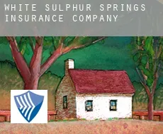 White Sulphur Springs insurance company