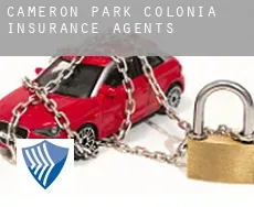 Cameron Park Colonia insurance agents