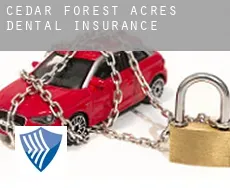 Cedar Forest Acres  dental insurance