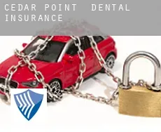 Cedar Point  dental insurance