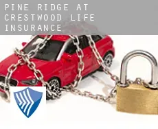 Pine Ridge at Crestwood  life insurance
