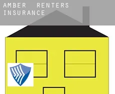 Amber  renters insurance