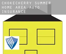 Chokecherry Summer Home Area  auto insurance