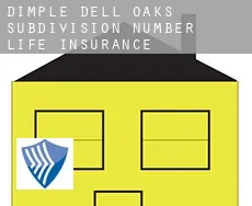 Dimple Dell Oaks Subdivision Number 2 life insurance