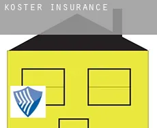 Koster  insurance