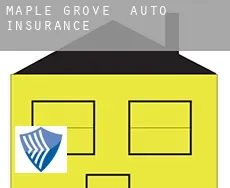 Maple Grove  auto insurance