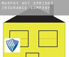 Murphy Hot Springs  insurance company