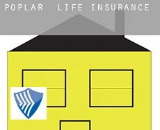 Poplar  life insurance