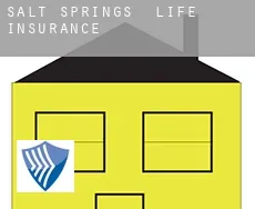 Salt Springs  life insurance