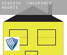 Sequoia insurance agents