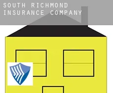 South Richmond  insurance company