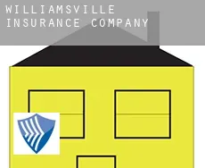 Williamsville  insurance company