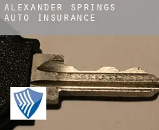 Alexander Springs  auto insurance