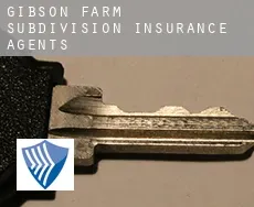 Gibson Farm Subdivision  insurance agents