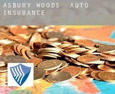 Asbury Woods  auto insurance