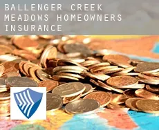 Ballenger Creek Meadows  homeowners insurance