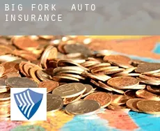 Big Fork  auto insurance