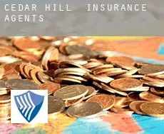 Cedar Hill  insurance agents