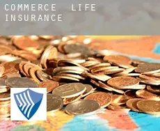 Commerce  life insurance