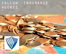Falcon insurance agents