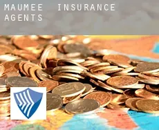 Maumee  insurance agents