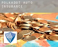 Polkadot  auto insurance