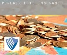 Pureair  life insurance